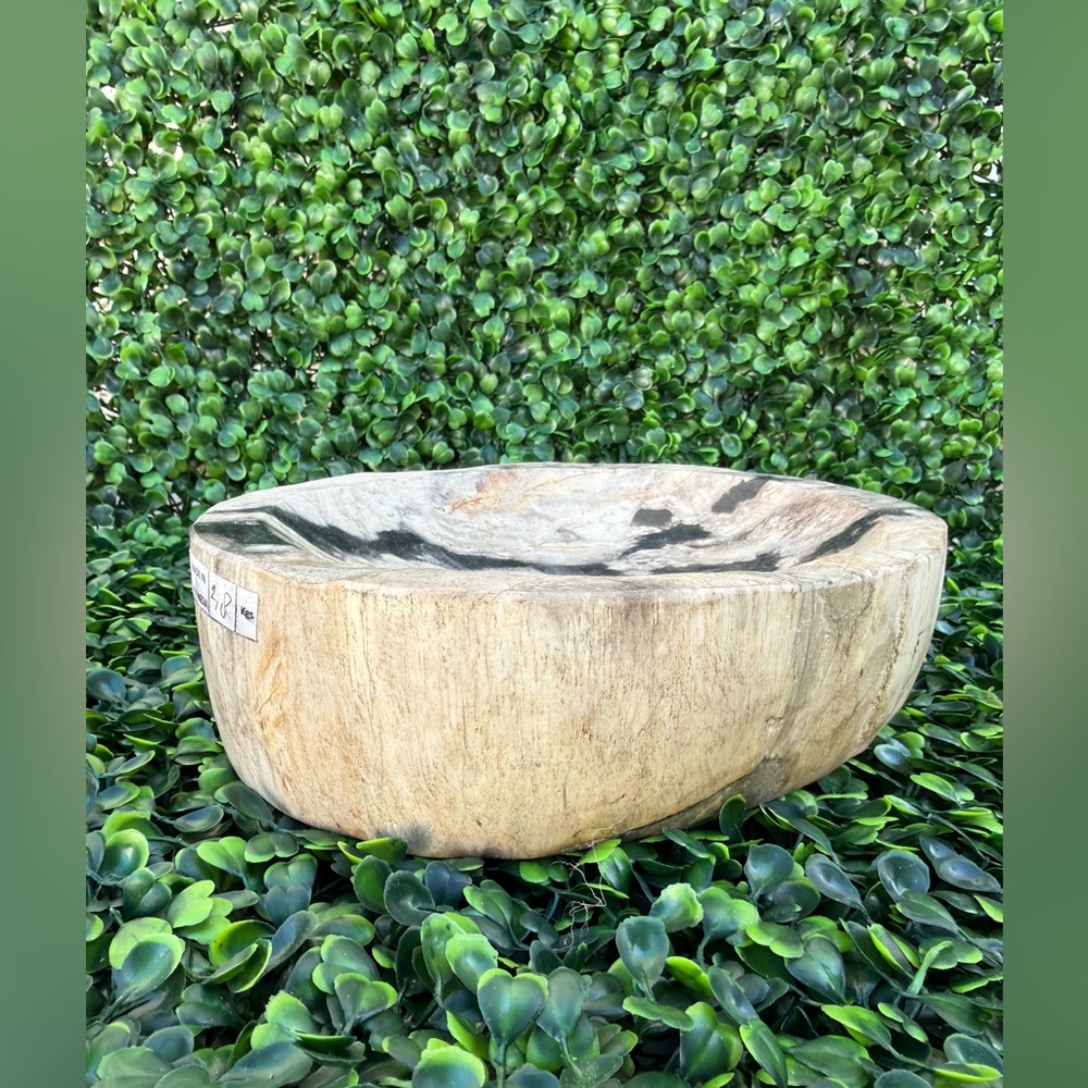 Petrified Wood Bowl • Grounding • Ancestral Wisdom • Earth Energy - Picture 3 of 5